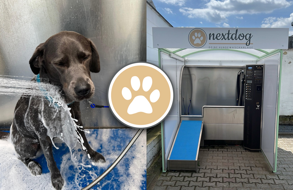 nextdog Hundewaschanlage Weiterstadt